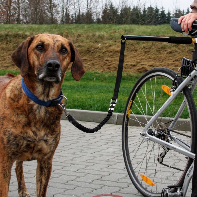 Correa de perro para bicicleta
