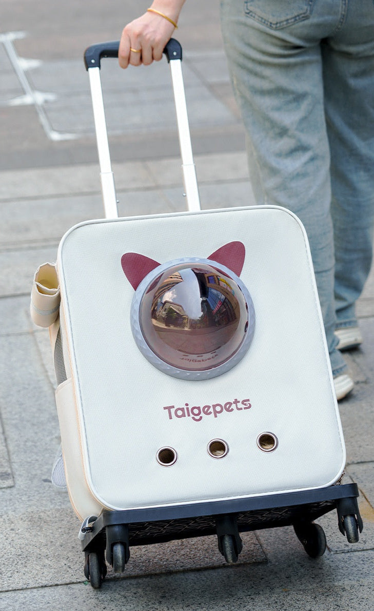 Transportín con ruedas